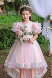 A Line Tulle Pink Sequins Puff Sleeves Girls Dresses With Bow