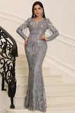 Silver Sparkly Long Sleeves Mother of the Bride Dress with Fringes