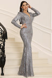 Silver Sparkly Long Sleeves Mother of the Bride Dress with Fringes