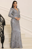 Silver Sparkly Long Sleeves Mother of the Bride Dress with Fringes