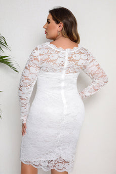 White Bodycon Plus Size Midi Lace Dress With Long Sleeves