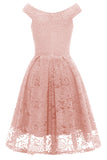 Blush Vintage Lace Party Dress