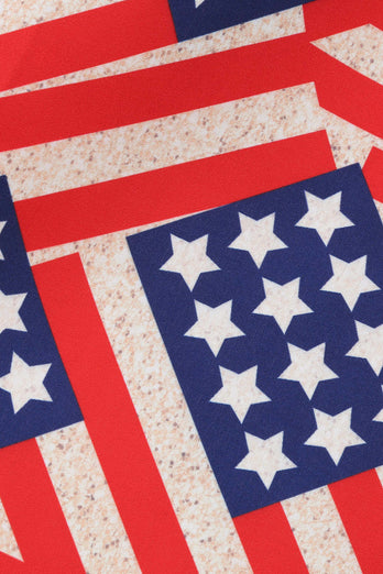 American Flag Print Vintage Dress