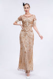 Champagne Sparkly Fringes Long 1920s Dress with Short Sleeves