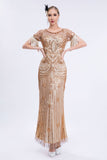 Champagne Sparkly Fringes Long 1920s Dress with Short Sleeves