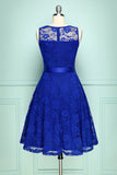 Lace Royal Blue Dress