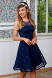 Navy Lace Dress