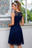 Navy Lace Dress