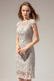 Grey Lace Mother Of the Bride Dress