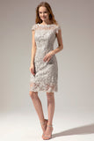 Grey Lace Mother Of the Bride Dress