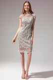 Grey Lace Mother Of the Bride Dress