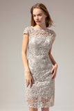 Grey Lace Mother Of the Bride Dress