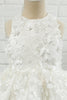 Load image into Gallery viewer, White Applique Sleeveless Flower Girl Dress