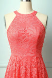 Coral Lace Dress