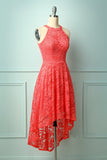 Coral Lace Dress