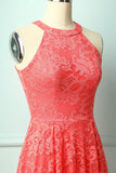 Coral Lace Dress