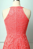 Coral Lace Dress