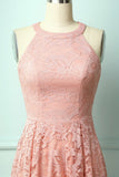 Blush Lace Dress