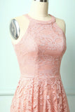 Blush Lace Dress