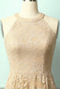 Load image into Gallery viewer, Champagne Lace Dress