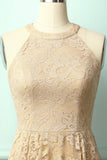 Champagne Lace Dress