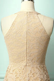 Champagne Lace Dress