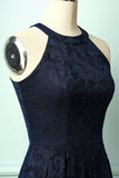 Asymmetric Navy Lace Dress