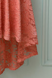 Blush V-Neck Lace Dress