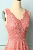 Blush V-Neck Lace Dress