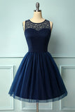 Navy Lace Party Dress