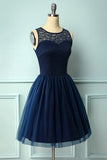 Navy Lace Party Dress