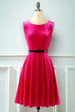 Velvet Vintage 1950s Dress