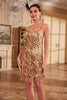 Load image into Gallery viewer, Sheath Spaghetti Straps Fuchsia Sequins 1920s Party Dress with Fringe