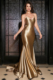 Mermaid Lace-Up Back Golden Long Prom Dress