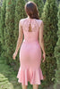 Load image into Gallery viewer, Blush Lace Bodycon Wedding Guest Dress