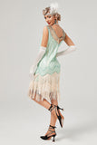 Sequins Green Short 1920s Gatsby Dress