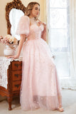 A Line Off the Shoulder Blush Plus Size Prom Dress with Embroidery