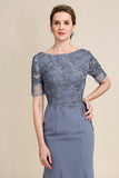 Grey Chiffon Appliques Mother of the Bride Dress