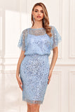 Sheath Jewel Neck Grey Blue Sequins Wedding Guest Dress