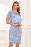 Sheath Jewel Neck Grey Blue Sequins Wedding Guest Dress