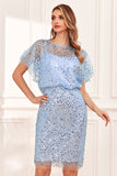 Sheath Jewel Neck Grey Blue Sequins Wedding Guest Dress