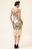 Golden and Silver Sequined Fringes 1920s Gatsby Flapper Dress with 20s Accessories Set