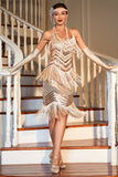 Champagne Sequined Fringed 1920s Gatsby Dress with Accessories Set