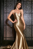 Mermaid Golden Spaghetti Straps Prom Dress with Accessory