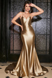 Mermaid Golden Spaghetti Straps Prom Dress with Accessory