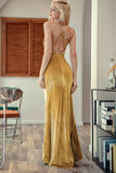 Velvet Evening Party Dress