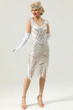 Sequin Fringe 1920s Dress