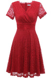 Red V-neck Lace Dress