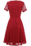 Red V-neck Lace Dress