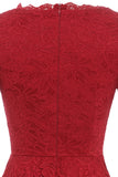 Red V-neck Lace Dress